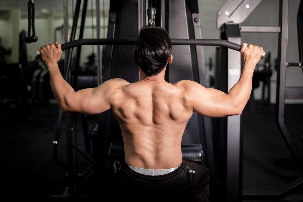 Full Mass Back Workout