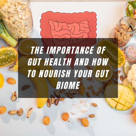 The Importance of Gut Health and How to Nourish Your Gut Biome