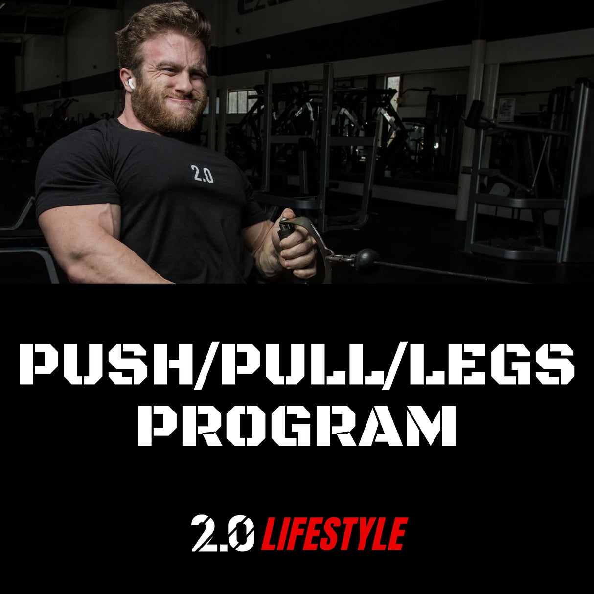 Push/Pull/Legs Program