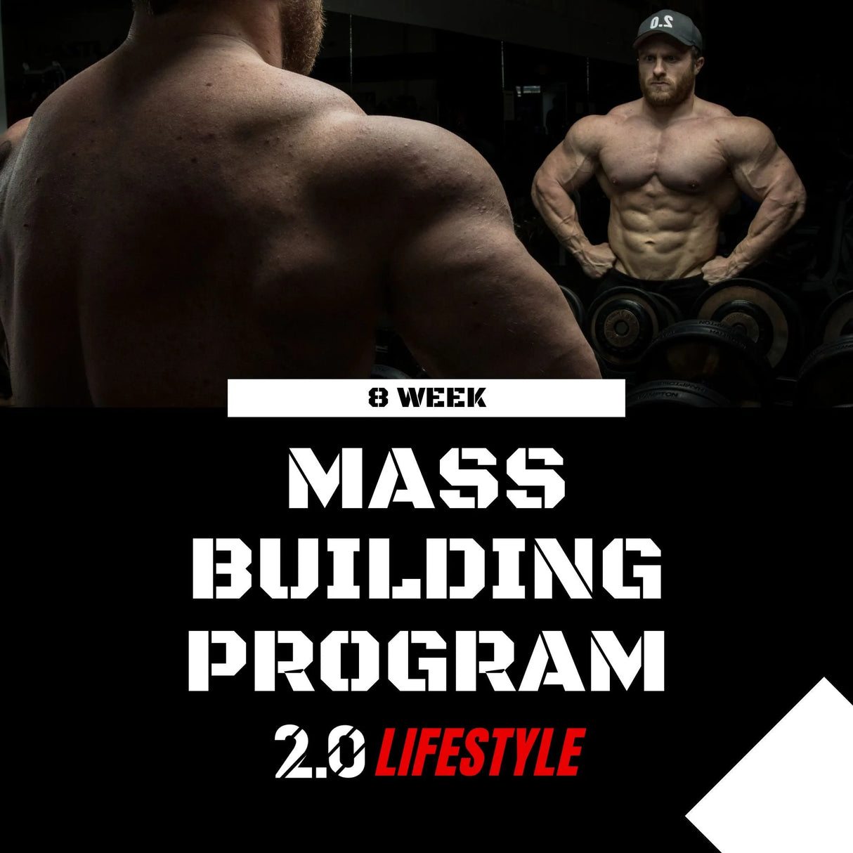 8 Week Mass Building Program- PDF